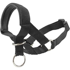 Dog Head Collar Halter Black (L 10.25inch12.25inch Snout)