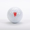 CaddyGolfStamps Man U Manchester Red Devils United Football Design Golf