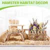 Swirge Natural Wood Hamster Spray Holder, Hamster Flower Forage Holder