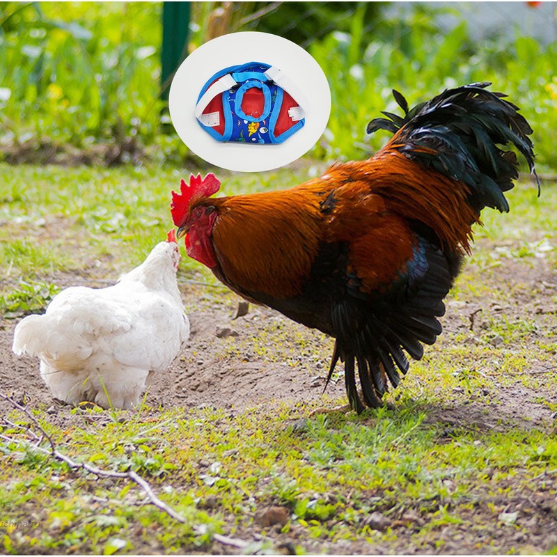 TUKEVA Chicken Training Harness, Comfortable Chicken Training Harness, Adjustable Chicken