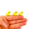 Mini Resin Ducks, Dollhouse Miniature Tiny Resin Ducks, Terrarium Fairy