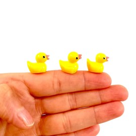 Mini Resin Ducks, Dollhouse Miniature Tiny Resin Ducks, Terrarium Fairy Garden Dolls Toy, Mini Micro Landscaping Decoration (5 PCS)