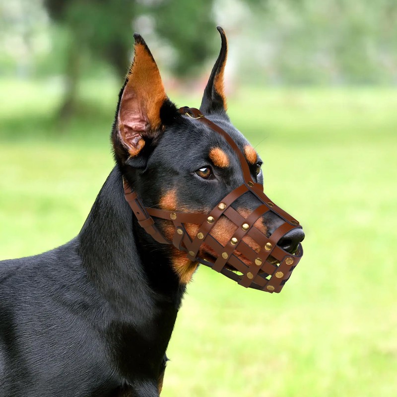 OOPSDOGGY Doberman Dog Muzzle for Large Dogs - Leather Breathable