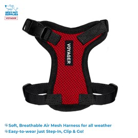 Voyager Step-in Lock Adjustable Cat Harness w. Cat Leash Combo Set with Neoprene Handle 5ft - Supports Small, Medium and Large Breed Cats by Best Pet Supplies - Red/Black Trim, XXS