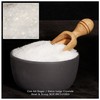 The Spice Lab Confectioners Sugar - Extra Coarse Sugar -