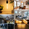 Sphoon Tubular Light Bulb 7.3 Inch Dimmable T10 LED Bulb