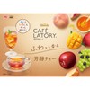 AGF Blendy Cafe Latory Rich Apple Tea 7 Sticks