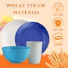 Homienly Dinnerware Sets Plates and Bowls Sets Wheat Straw Dish