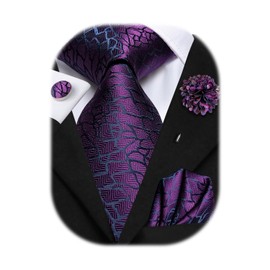 Hi-Tie Ties for Men Tie and Lapel Pin Set Paisley Stripe Necktie Handkerchief Cufflink Wedding Party,Plum Dark Purple