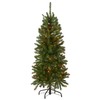 National Tree Company Artificial Pre-Lit Slim Christmas Tree, Green, Kingswood