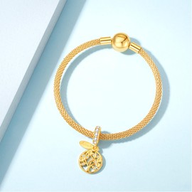 PHCLASY Graduation 2024 Charms Compatible with European Bracelets and Necklace, for Women Happy Graduation Charm, Cubic Zirconia, Pearl, zircon