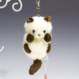 Bubble Assorted – Box- Siamese Cat