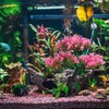 Homoyoyo Aquarium Artificial Plants Decor, Aquarium Accessories Fish Tank Plants