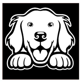 Golden Retriever Peeking Dog Lover Vinyl Sticker Decals (Pack of 2) for Car Window Laptop Phone (4" x 3.5", White)