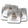 4 Set - Beautiful Tiger Coaster - Big Cat Lion