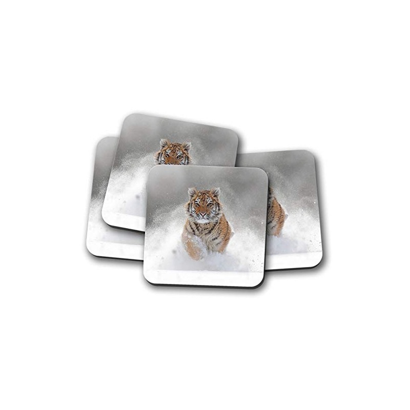 4 Set - Beautiful Tiger Coaster - Big Cat Lion