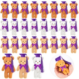 Sotiff 24 Pcs Mini Graduation Bear Plush Gift Stuffed Animal with Purple Cap Gift for Her, for Him, Class of 2024 Graduation Present for College High School for DIY Keychain Xmas Decorations