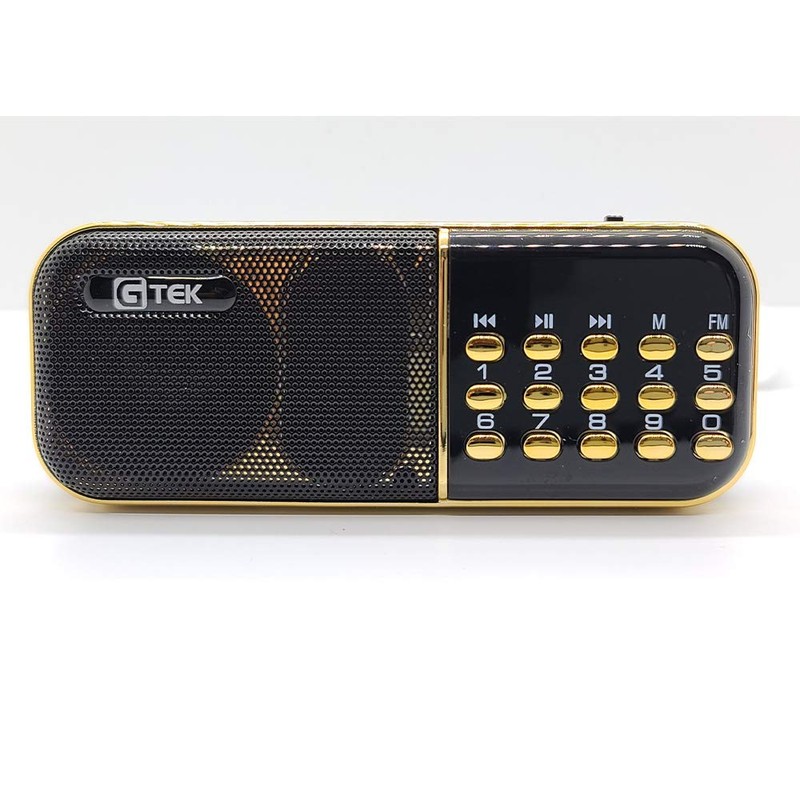 Gtek Hindu Religious Bhajans Radio Player (List Included in The