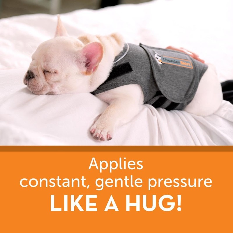 ThunderShirt for Dogs, Small, Heather Gray Classic - Dog Anxiety