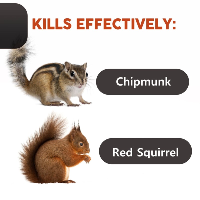 Squirrel Traps Outdoor - Squirrel Traps - Ouell Traps -