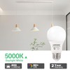 LAMPHOME 8-Pack Daylight White LED Bulbs - Brighten Your Bedroom