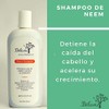 Shampoo Control Caída y Acondicionador Reparador Neem