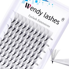 Volume Eyelash Extensions, 10D Eyelash Extension, Fan Eyelashes, Pre-Fanned Eyelashes, 0.07 12 mm, D Curl, Silk Eyelashes, Volume Eyelashes, Fan for Eyelash Extension (10D-0.07-D-12)