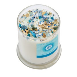 Throat Chakra Candle by New Moon Beginnings - Chakra Candles - Dried Flower, Herb, & Crystal Candles - Aromatherapy Candles - Soy Candle - 12oz Glass Jar