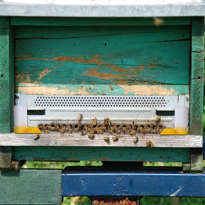 6 Pcs Bee Feeder Bee Feeder Bee Feeder Beekeeping Water