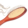 Large Ironwood Oval Household Cleaning Brush Living
