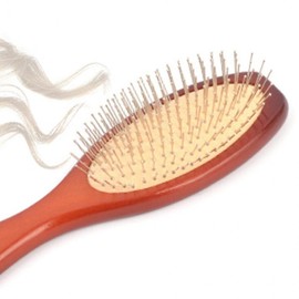 Large Ironwood Oval Household Cleaning Brush Living