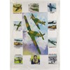 Half a Donkey The Spitfire Large Cotton Tea Towel