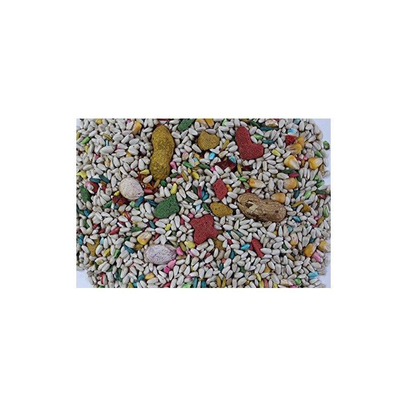 L'Avian Plus Premium Fortified Parrot No Sunflower - 25 Lbs.