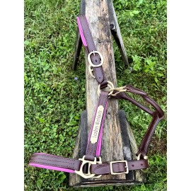 Leaders 1" Leather Halter Full/Horse Size Halter with Pink or Purple padding - Horse Size Black/Pink WITH Nameplate