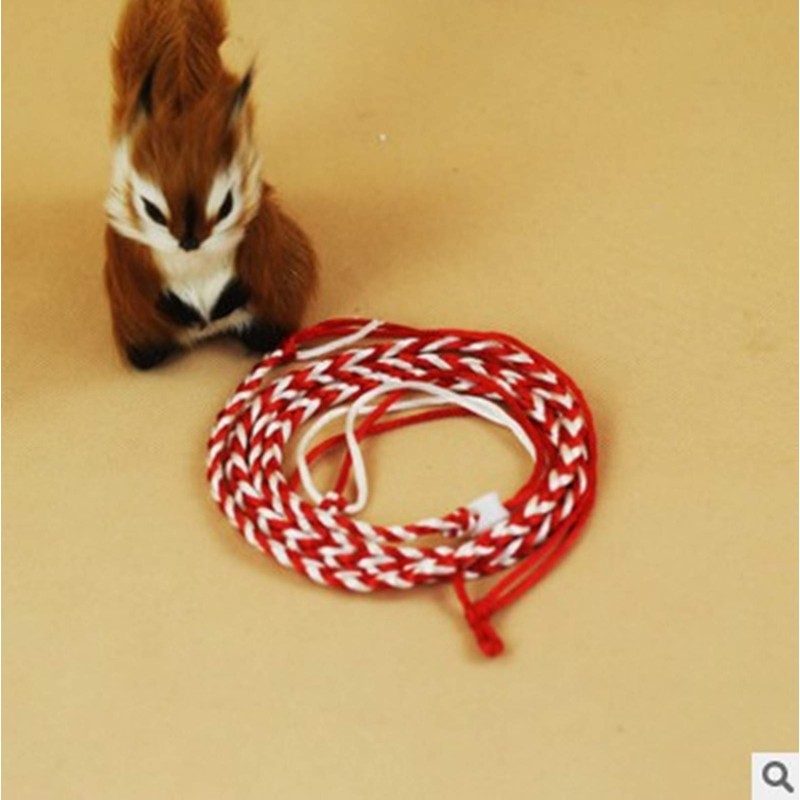Zittop 1 PCS Small Animal Leash Lead Harness Rope Hamster