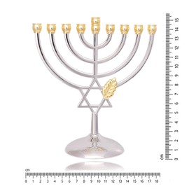 An Elegant Menorah with Star of David (Hanukkiah or Hanukkah Chandelier) in Brass in Silver 9 Arms. Height - 16 cm, Width - 18 cm. From Israel