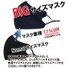 Feather Store Brand Large Cooling Mask, Large Mask, Summer Mask,