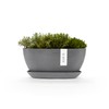 Sofia Flower Pot Collection - Designer Planter for Small Spaces