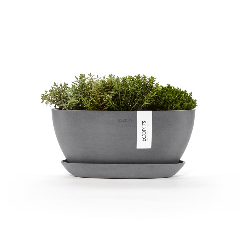 Sofia Flower Pot Collection - Designer Planter for Small Spaces