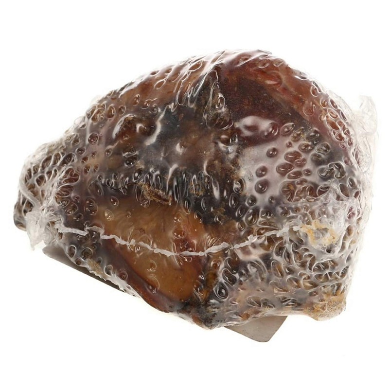 Knee Caps Approximately 3 in. to 4 in. Each