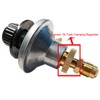 Meter Star 12 Ft Quick Connect Liquid Propane Hose for
