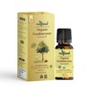Nagaad Nagaad Organic Frankincense Essential Oil, Frereana Oil C 10ml