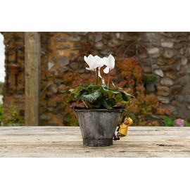 Pot Buddies Wind in the Willows Ratty Colorful Pot Hanger Ornament