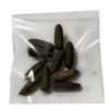 Salvadorean Chipilin Plant Seeds, 10 Count, Dark Brown Pods for
