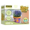 Skullduggery Flower Pot Kit - 1 Pot