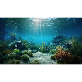 Under The Sea Aquarium Background Deep Sea Coral Reef Fish Tank Background Underwater Rock Aquatic Plants Sunray Terrarium Background Tropical Fish Deep Ocean Floor Fish Tank Background 30x18in