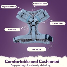 Petmarkable Adjustable Dog Harness for Growing Puppy Featuring Soft Breathable Padded Mesh and Adjustable Straps, Perfect for Small Dog Harness, as Well as Puppy Harness (Blue, Extra Small)