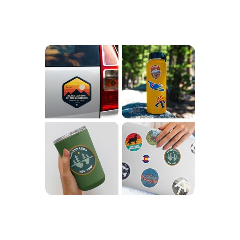 Squiddy Cape Cod Massachusetts Wave - Vinyl Sticker Decal for