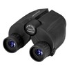 DFlamepower 10x25 Compact High Powered Folding Binoculars Waterproof Telescope for