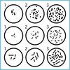 Fumete 60 Pcs Prepoured Agar Plates Kit Includes Petri Dishes